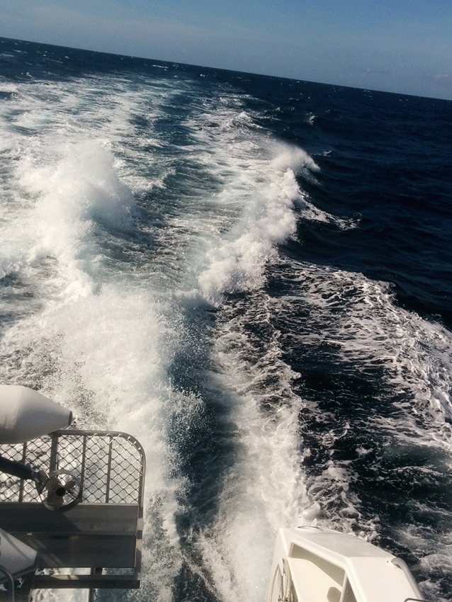 Water wake, Great Barrier Reef