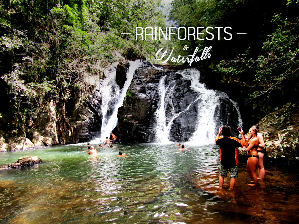 Rainforest and Waterfall Tours, and Great Barrier Reef