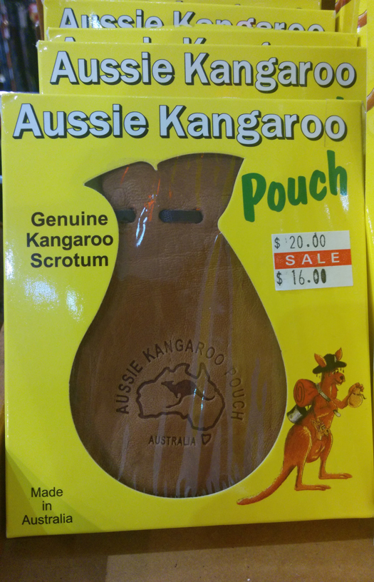 Kangaroo scrotum
