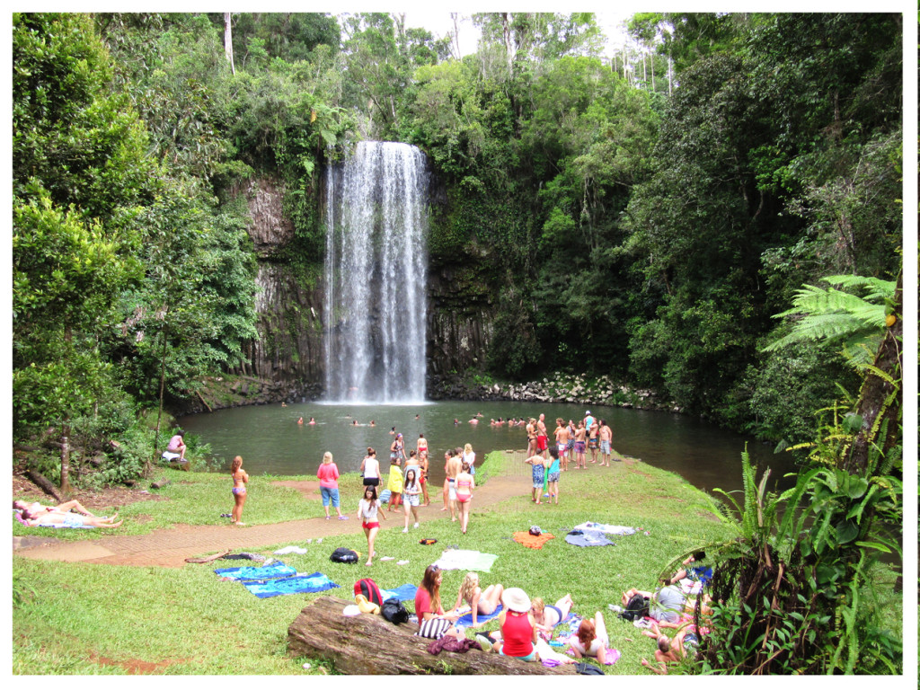 Millaa Millaa people and waterfalls