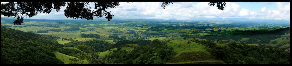 Then: rainforest Now: farmland