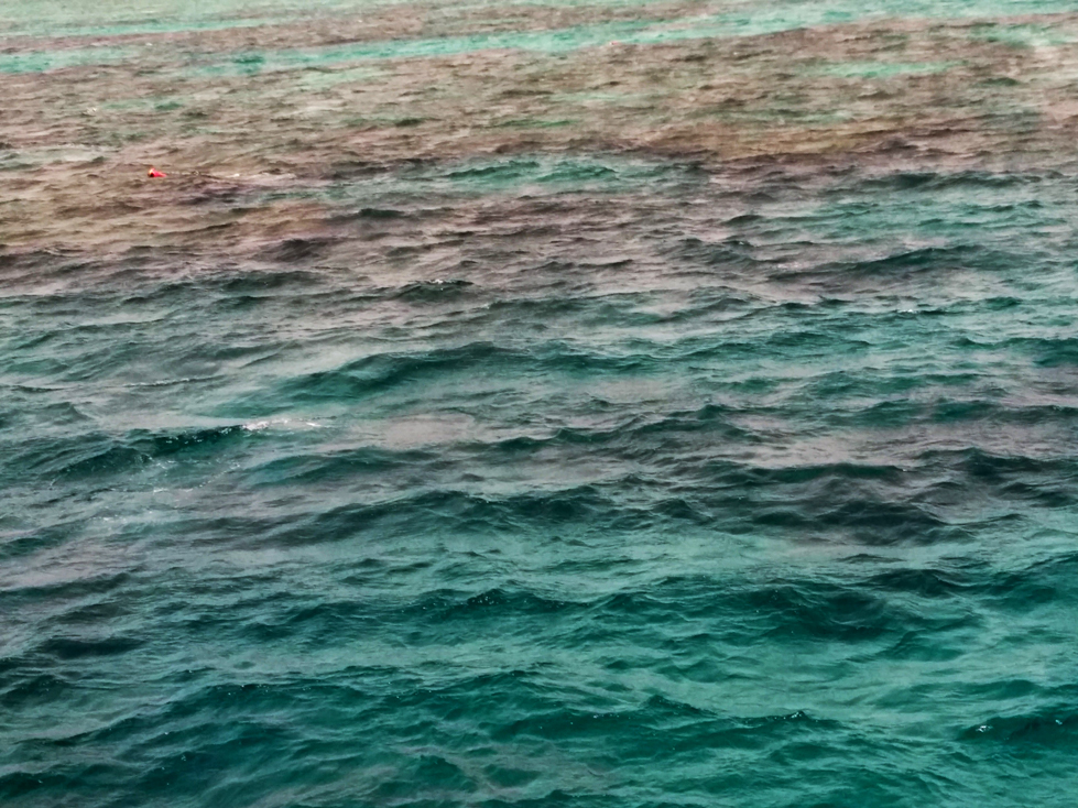 Great Barrier Reef is the dark patches on here