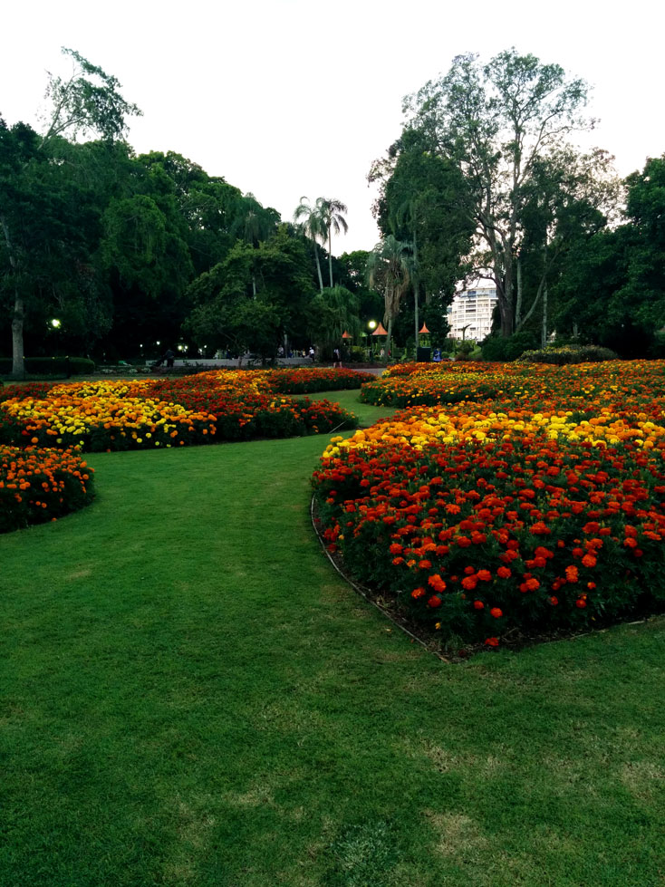 Brisbane botanic gardens