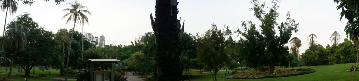 Green part of the gardens