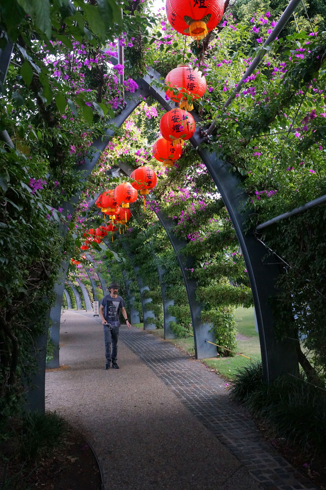 Lanterns in Brisbane's South Bank walkways.
