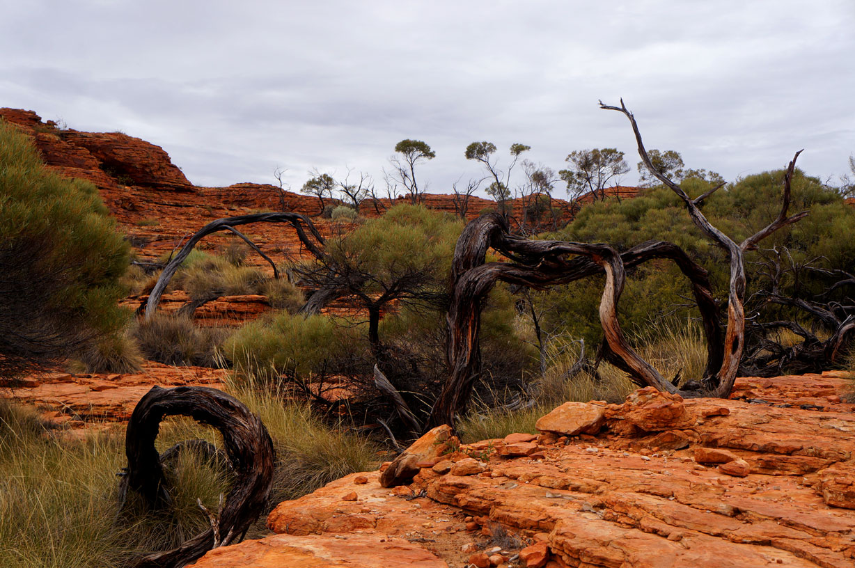 Outback palette