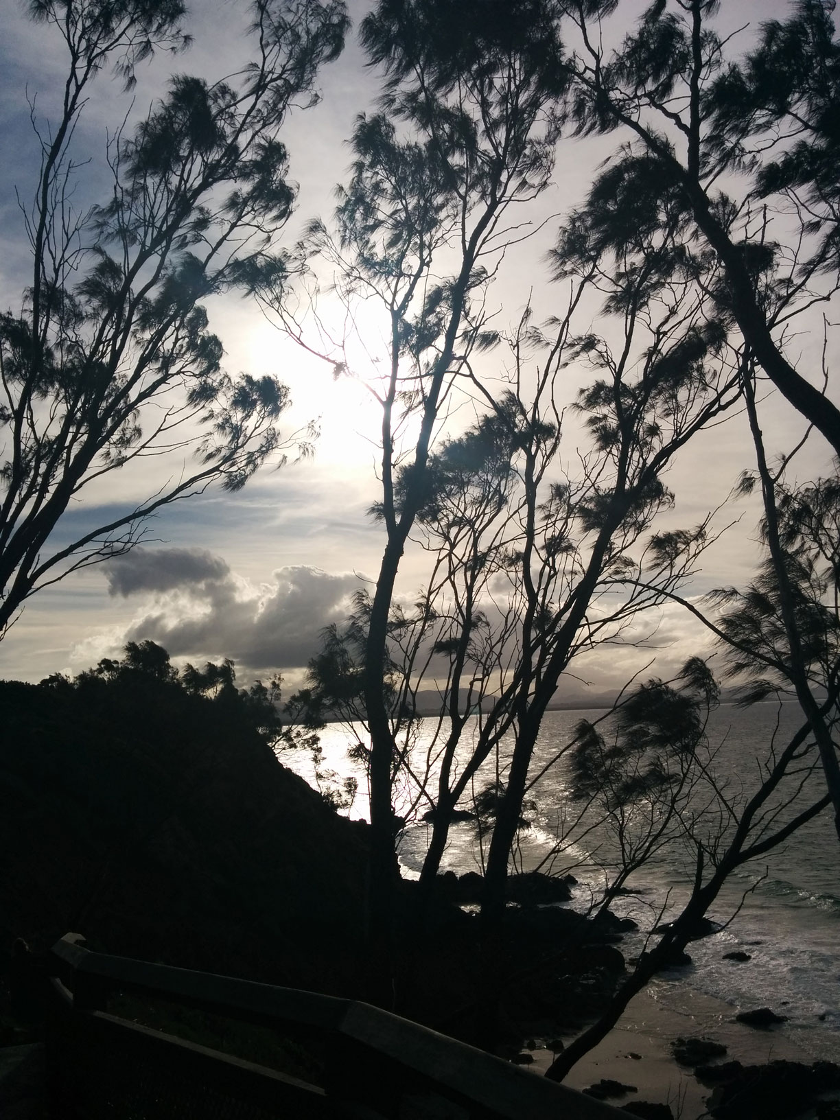 Dreamy landscape