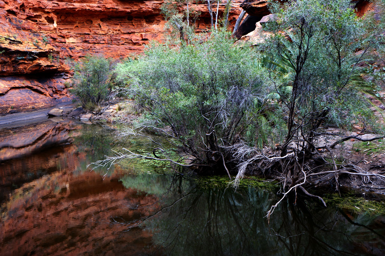 Garden of Eden, Kings Canyon