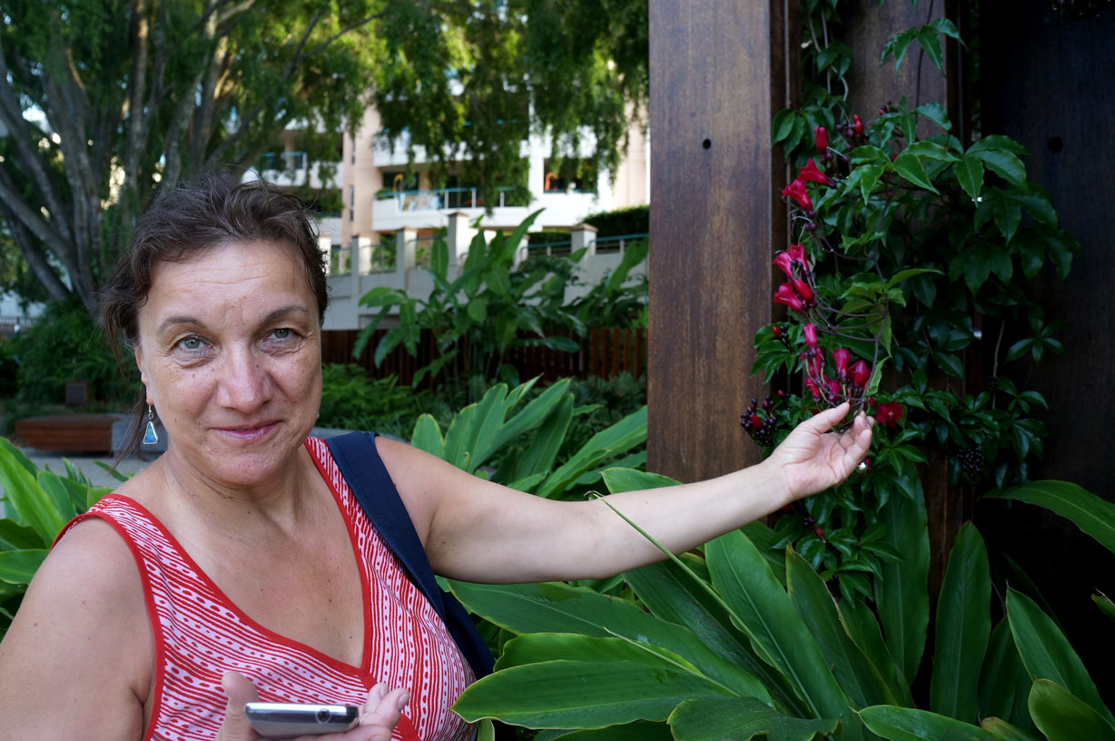 Mom, South Bank, Brisbane