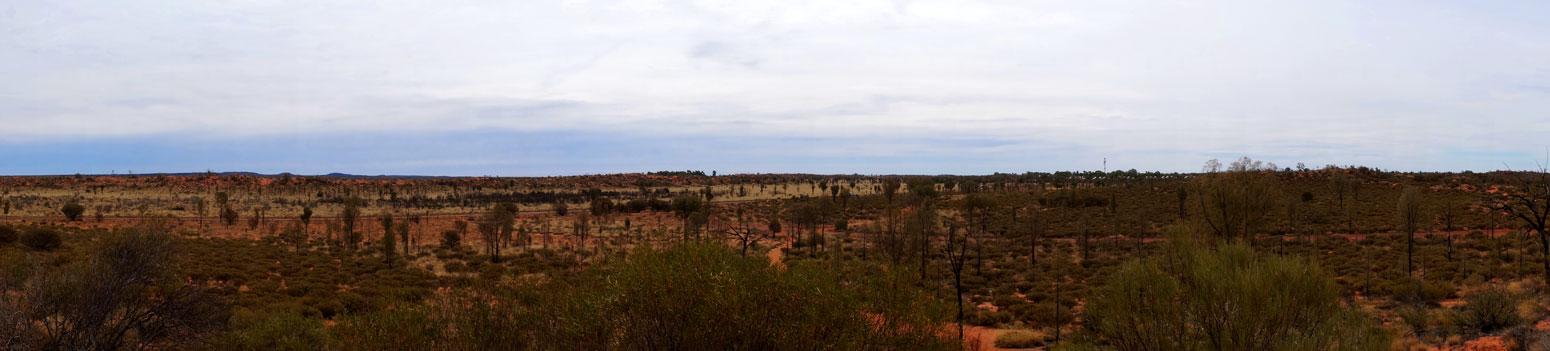 Panoramic view of the Outback