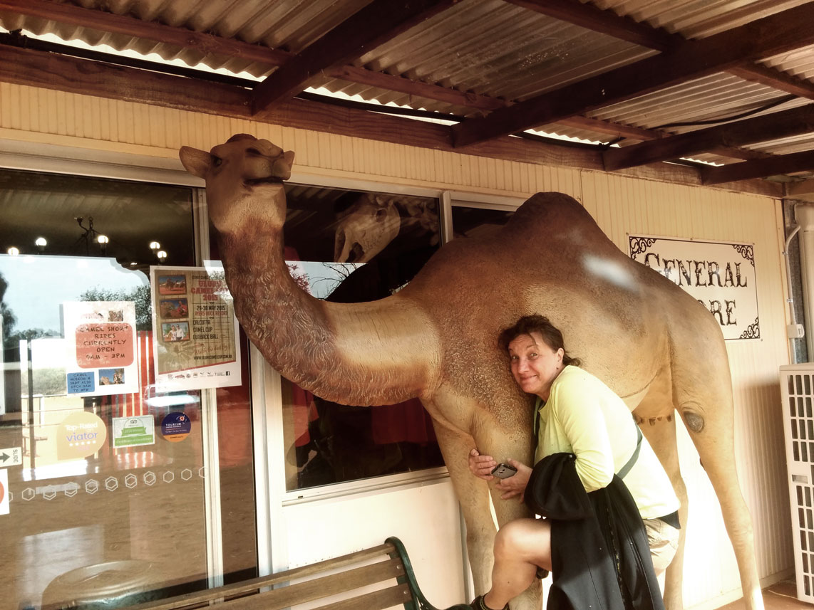 Magda, Silly, Camel Farm