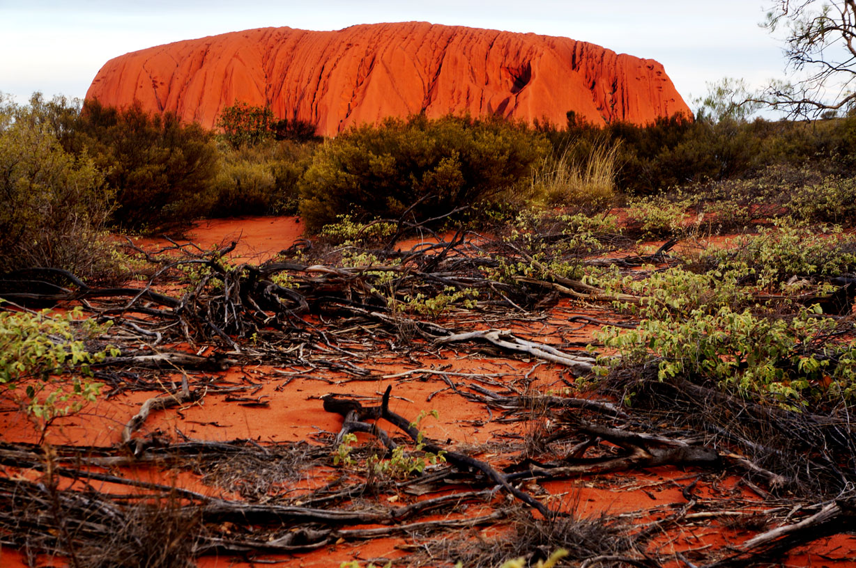 Uluru, basking in the sun