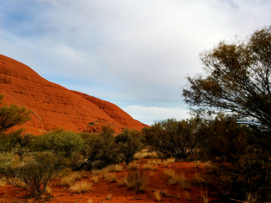 Uluru daytime