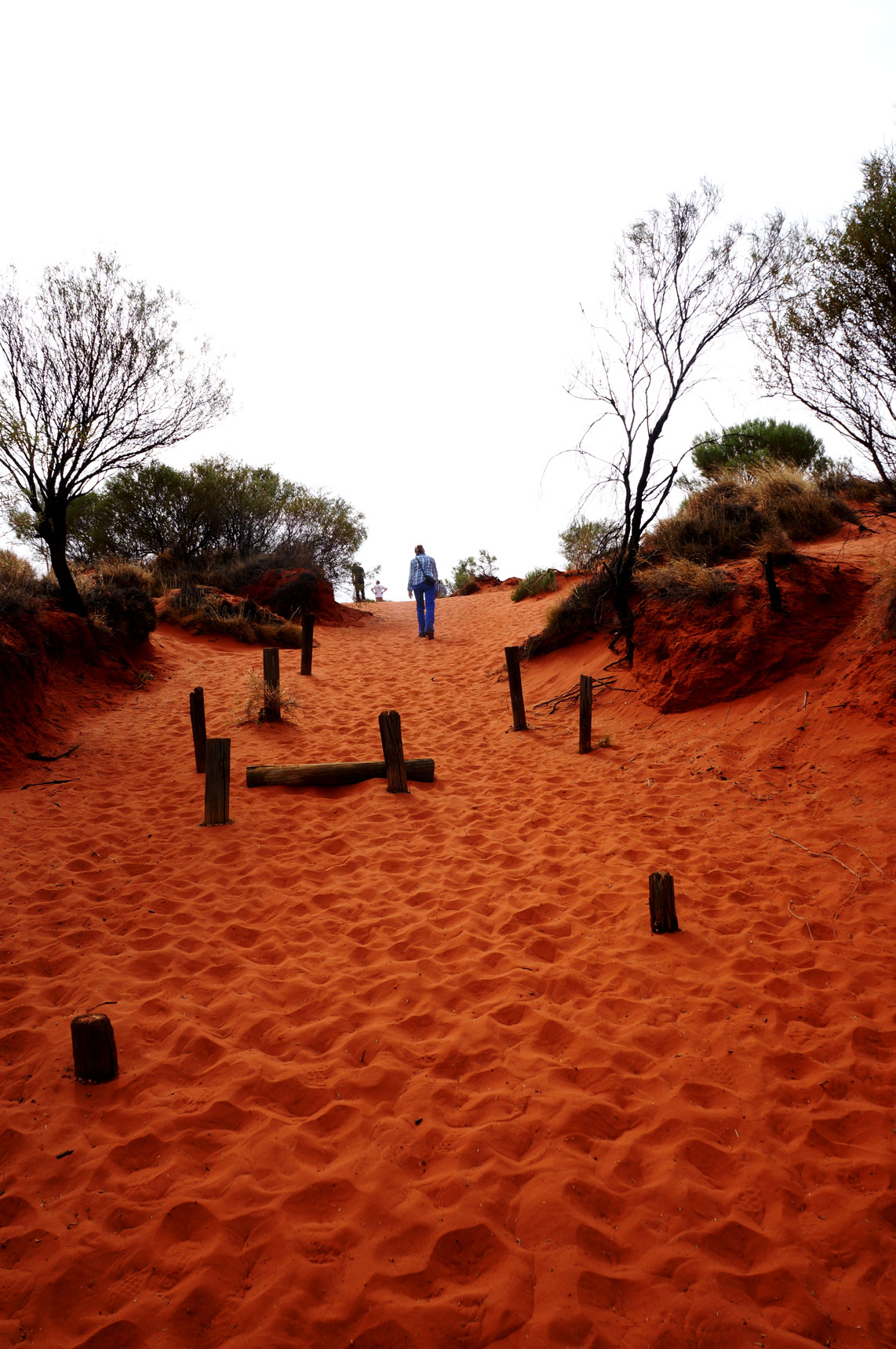 Observation dune to see Uluru
