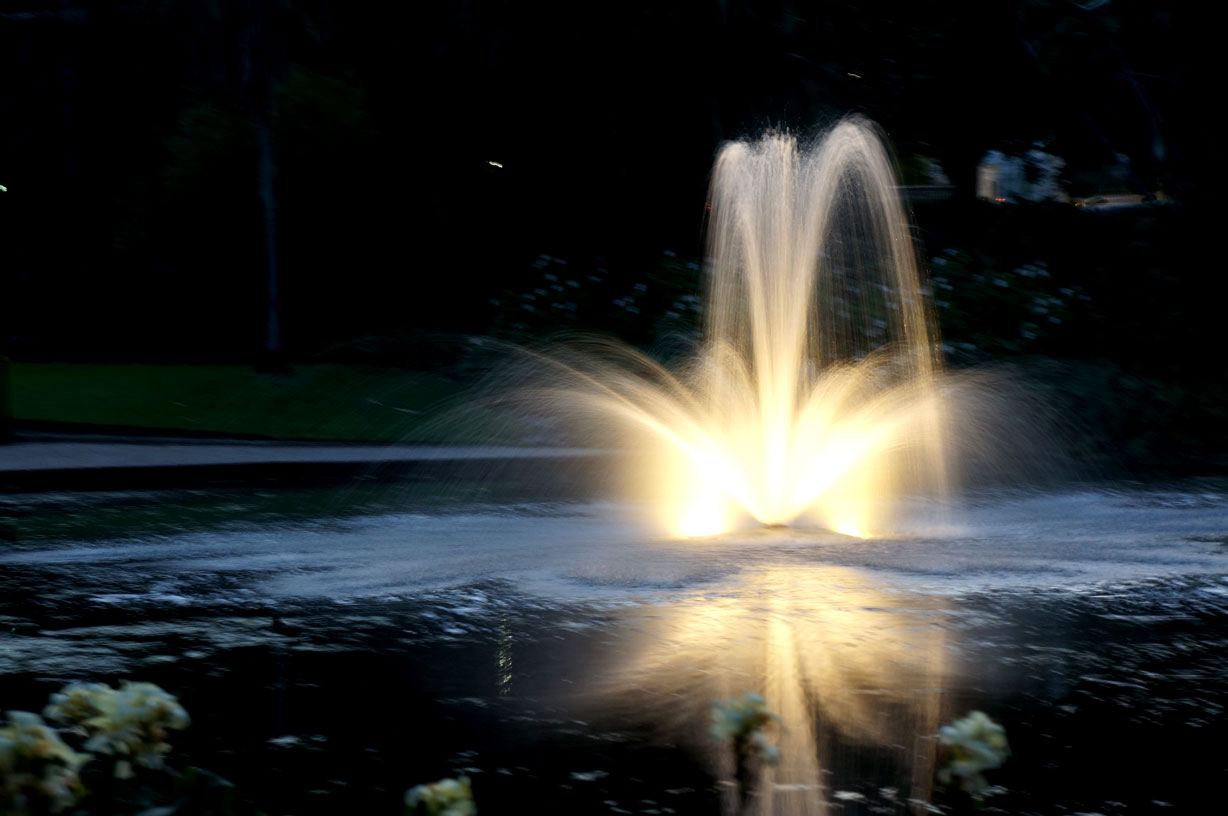 Waterfountain, Brisbane, Botanic Gardens