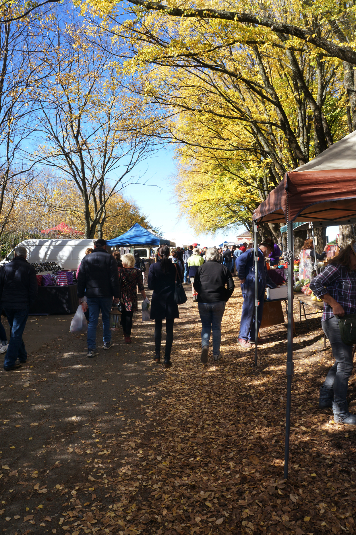 Fall market days in Daylesford