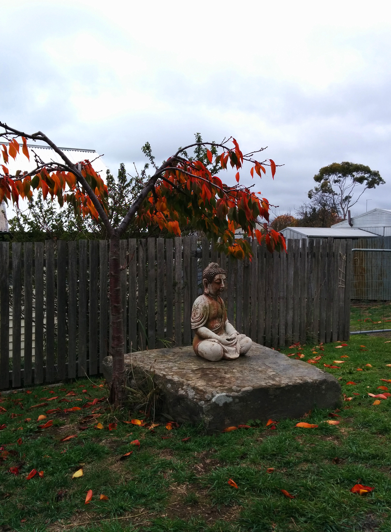 Dharma School Buddha