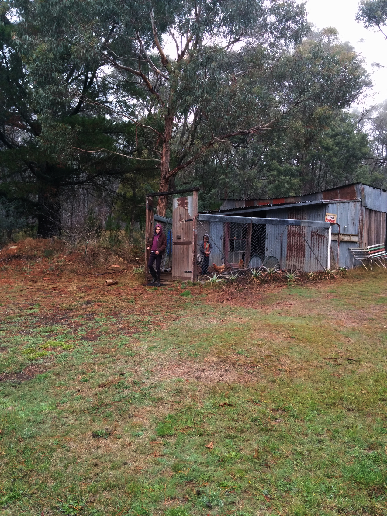 The boys by the chook house