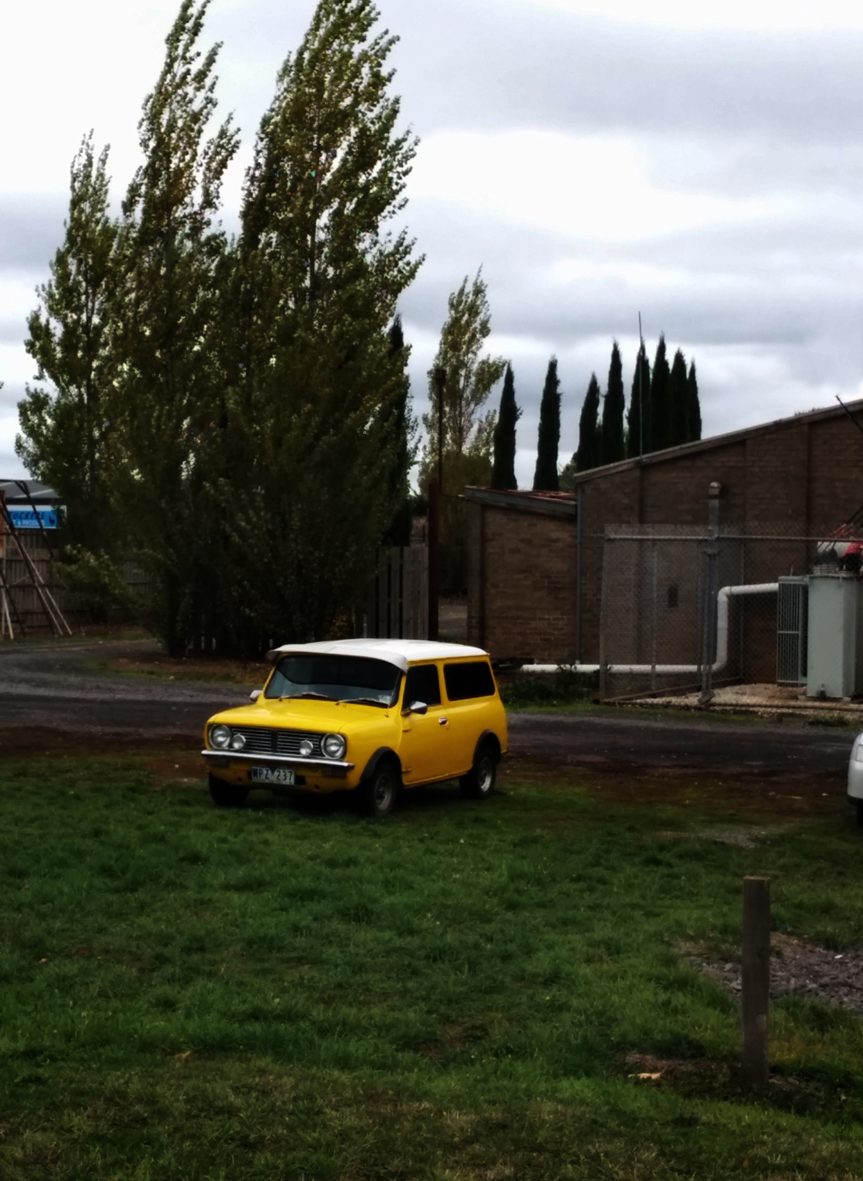 Tiny yellow car! (squeal)