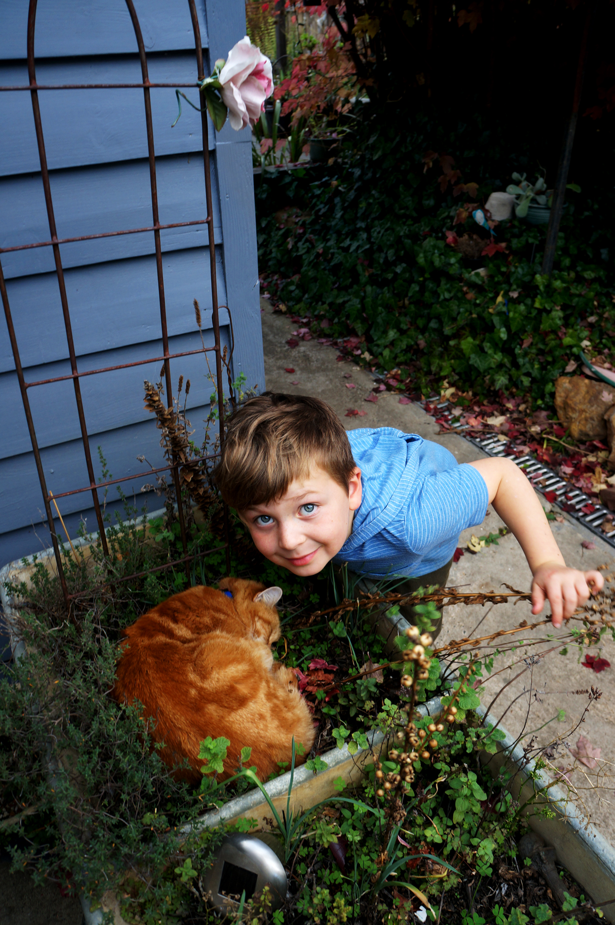 Tarquin and cat