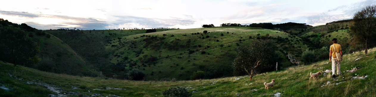 On my last day, Tresh and I took a walk around Yankalilla, and this is about a 20 minute walk from his garden. What a wonderful place to live.