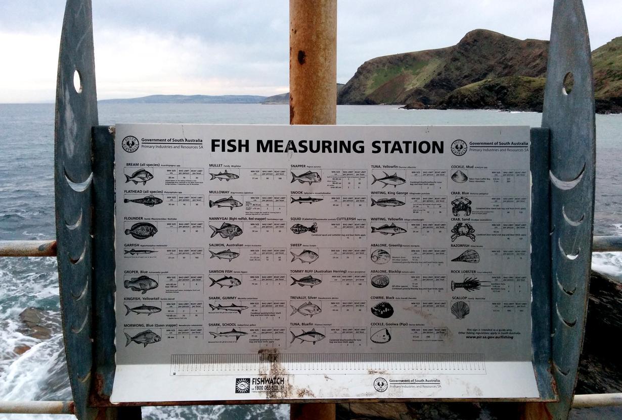 If you fish, you have to measure your fish at this station to make sure you can keep it. Otherwise you have to release.
