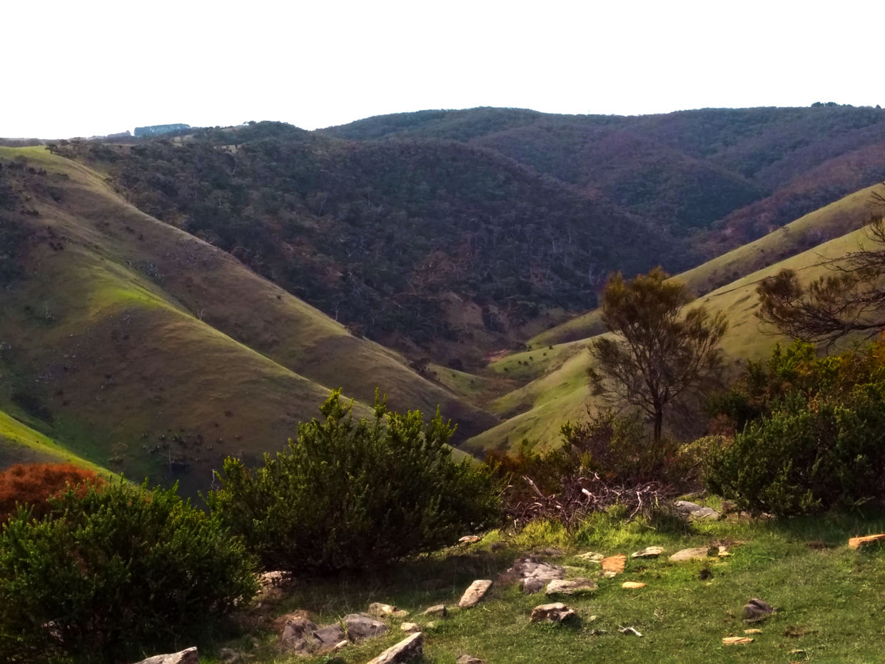 These hills look gentle but they're actually HUGE. Love them. I couldn't stop taking photos