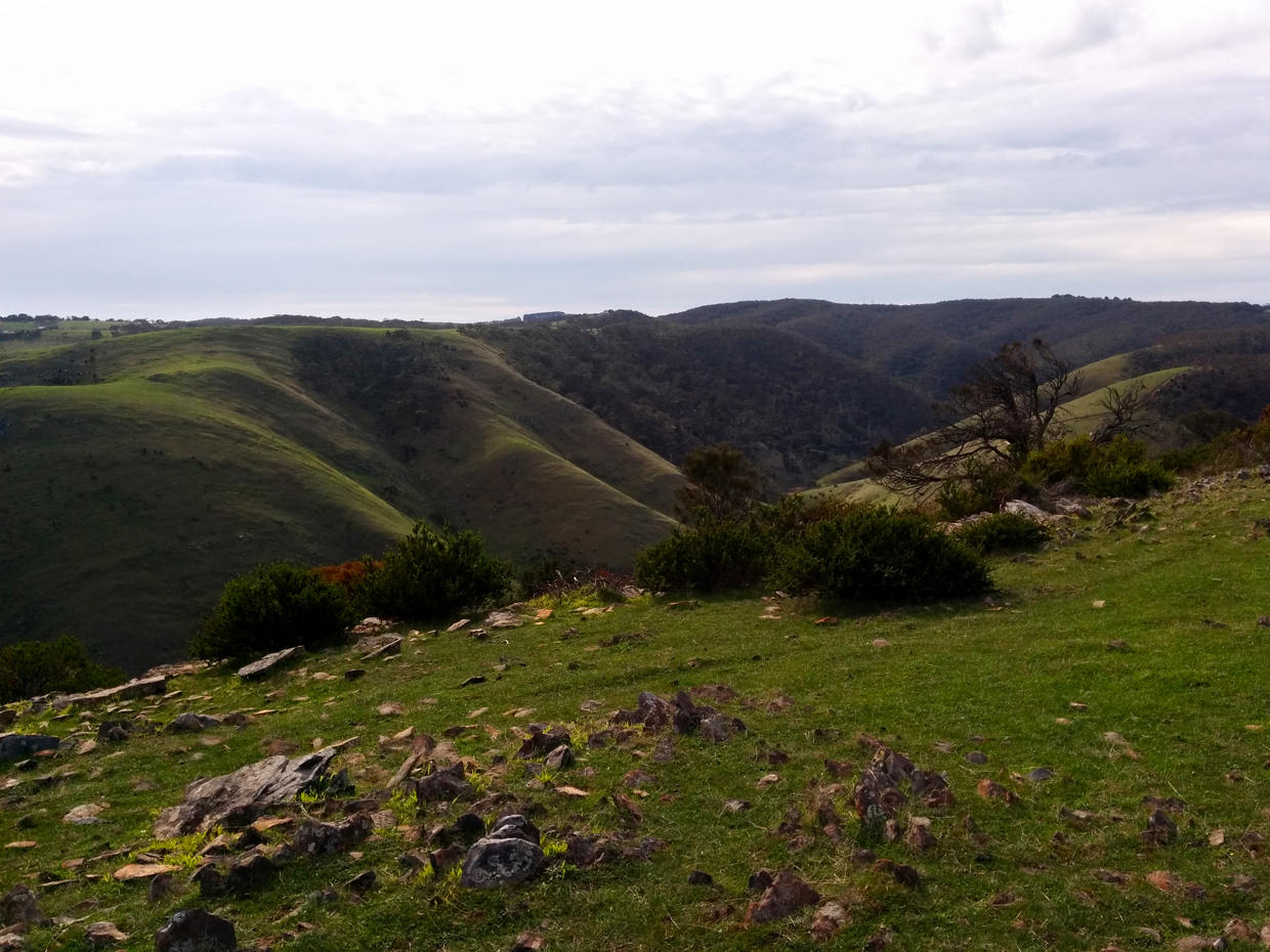 More hills and valleys