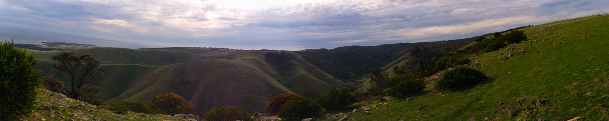 The massive hills of the Fleurieu