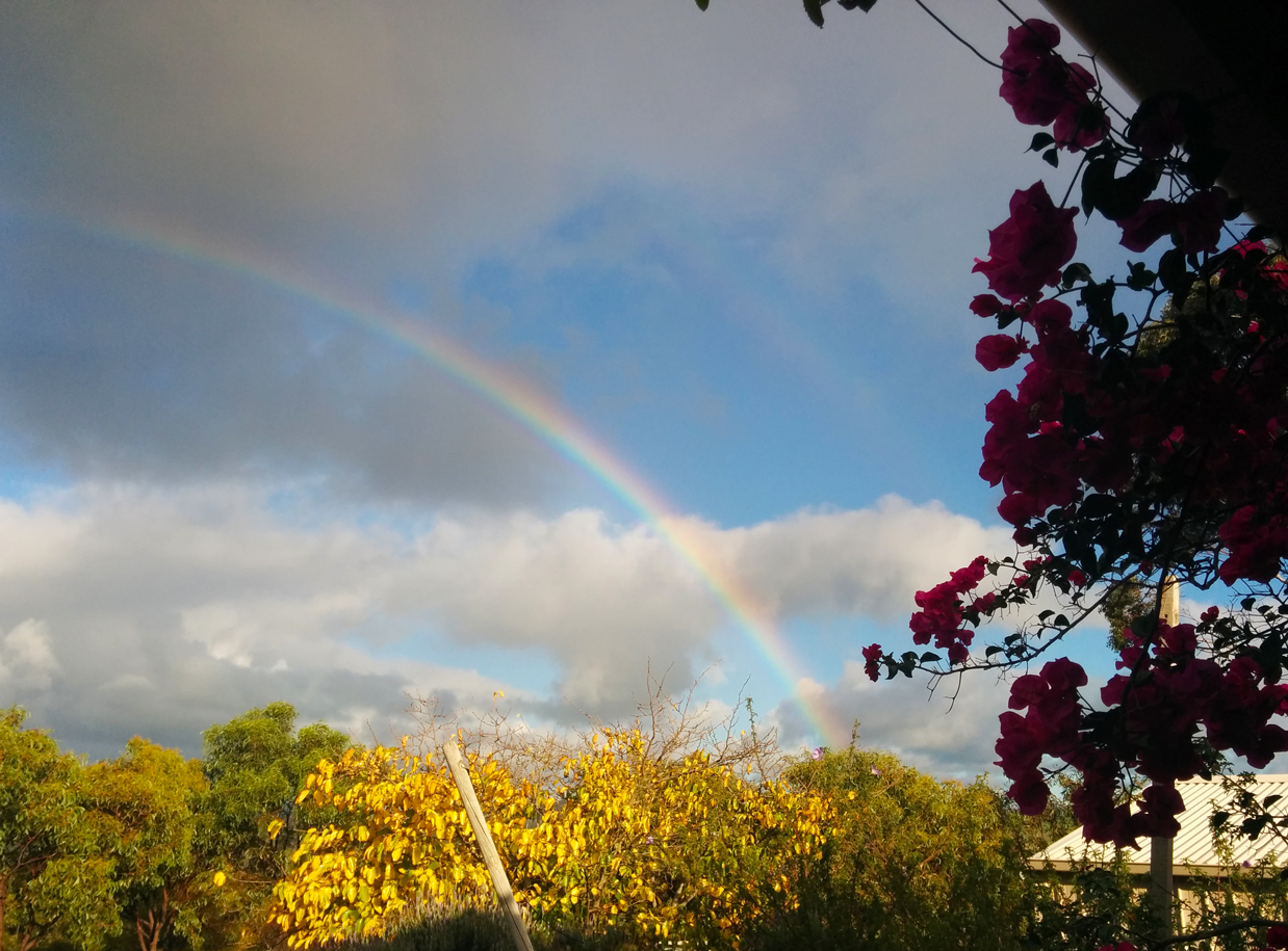 There must be unicorns around here because there is no shortage of rainbows. In the week I was there, I must have seen at least four. I will not take a scientific explanation for this.