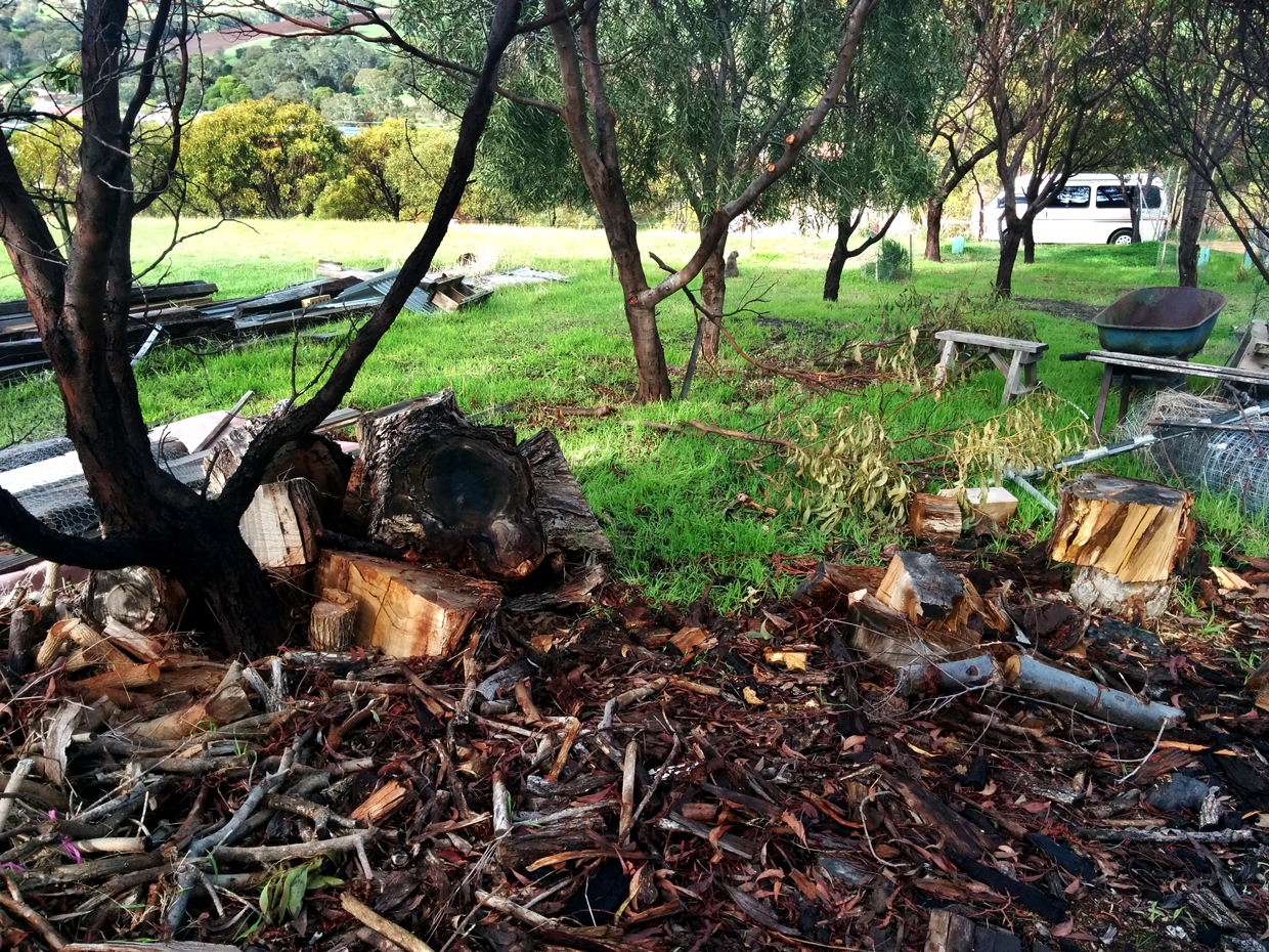 The shed site. Happy clearing!