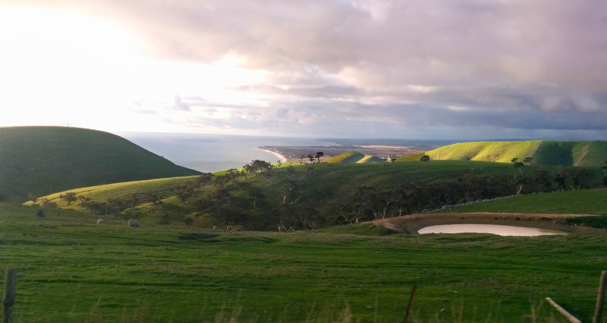 Ocean in the distance - near Yankalilla