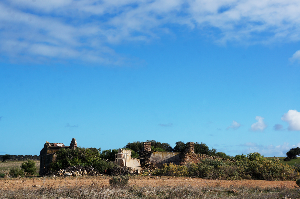 On the drive, we saw this broken down home...love the sadness of the place