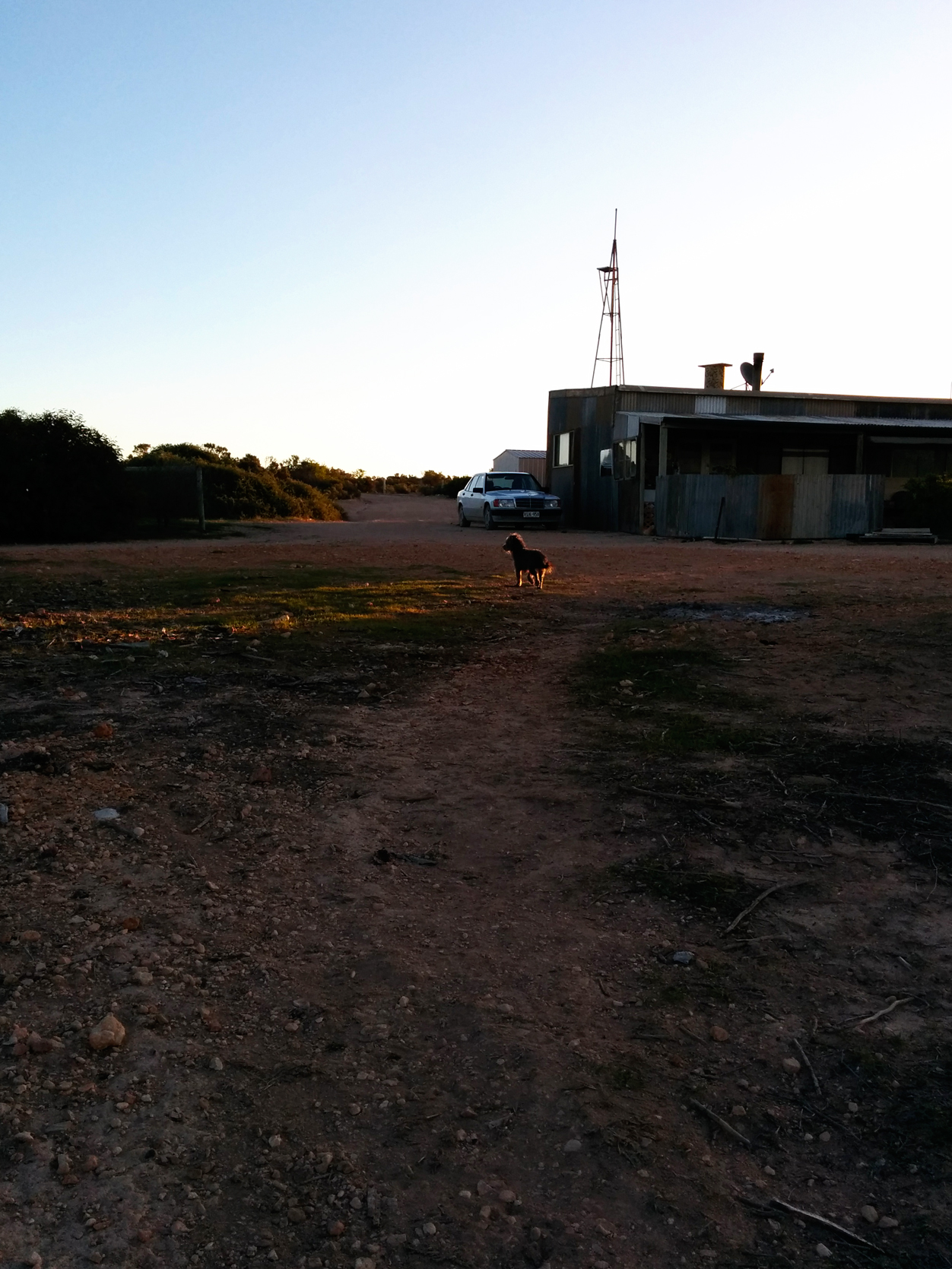Front yard