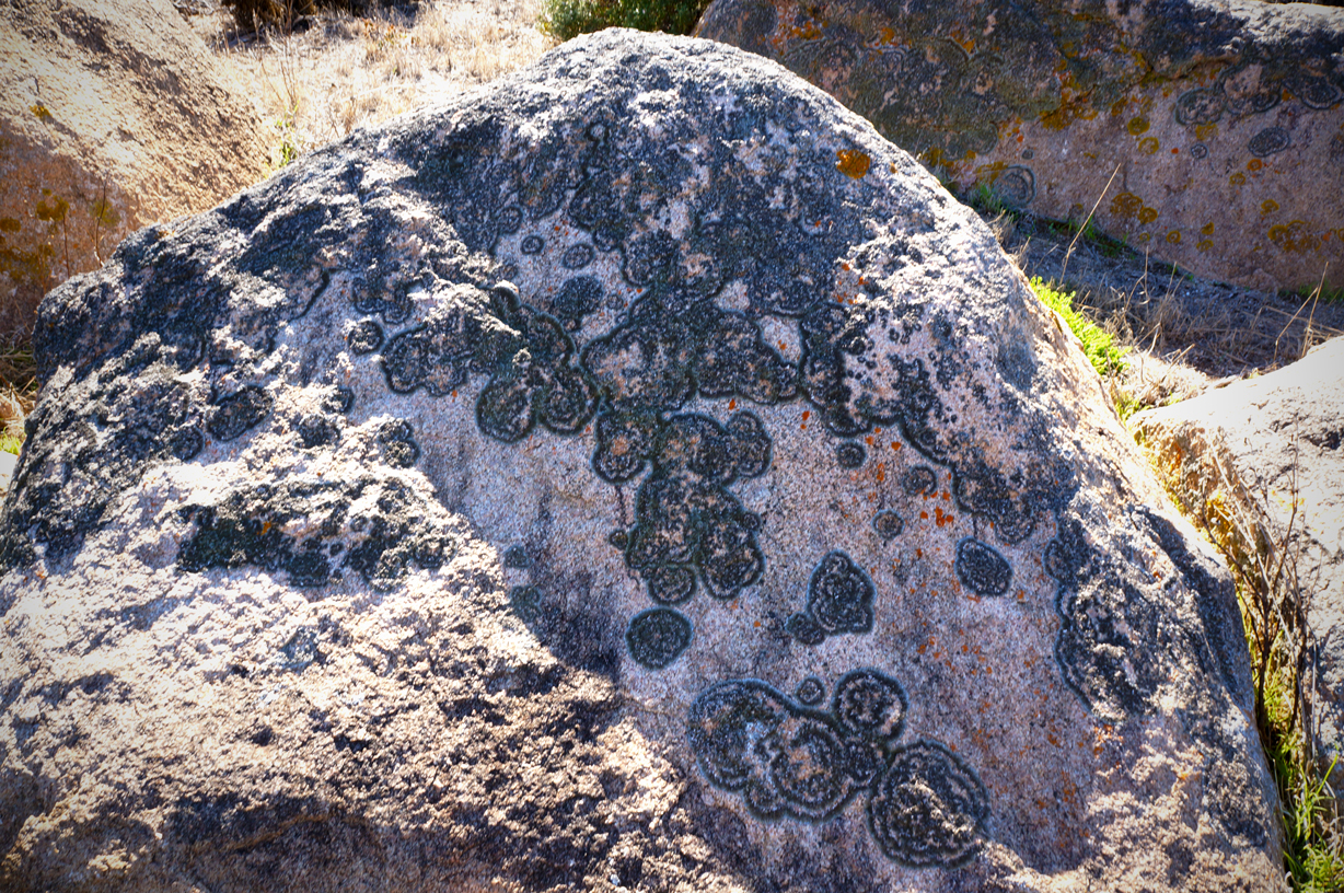 Like the pattern of lichen on this rock