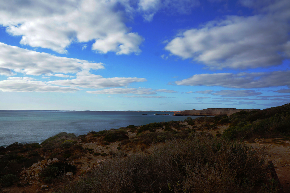 Coast line