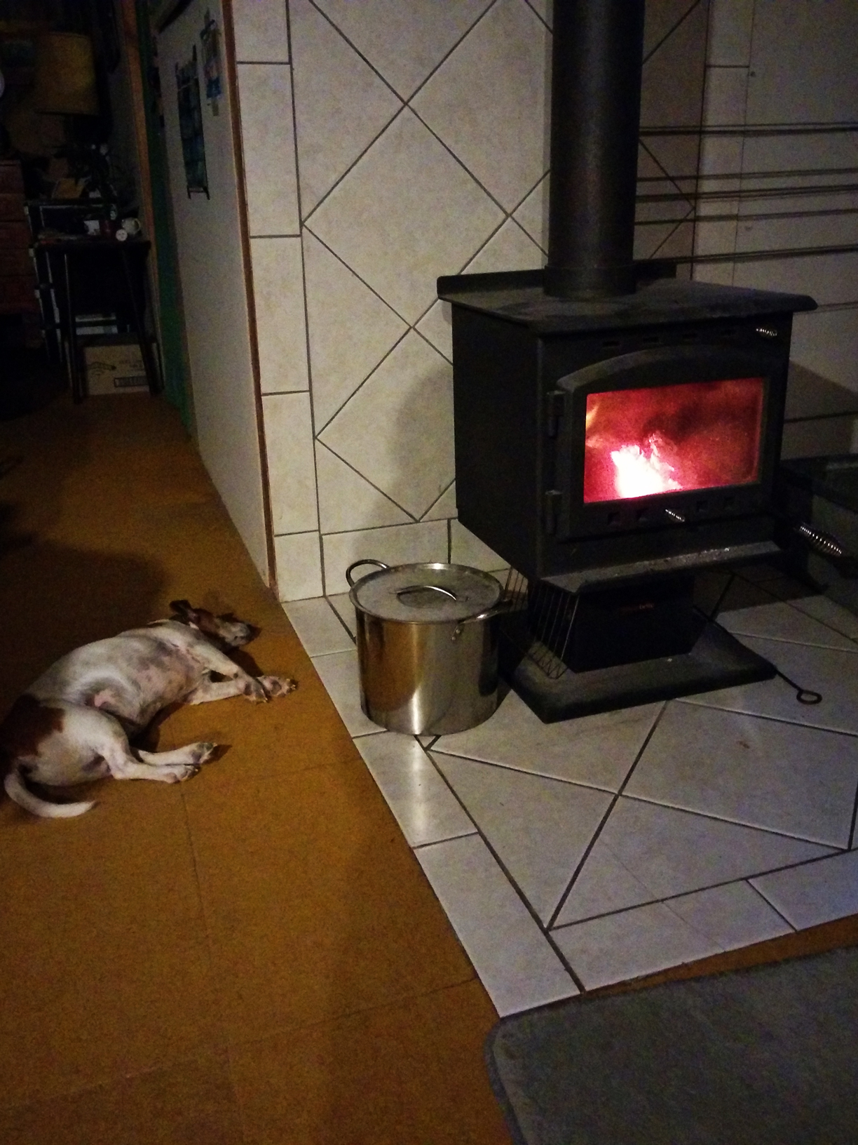 Doggie by the fire, which we warmed out toes by, while watching TV