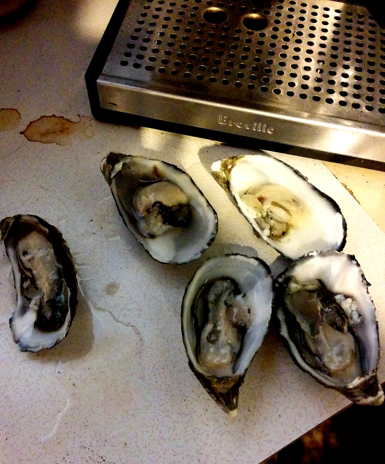 Best oysters ever. Seriously. Ever.