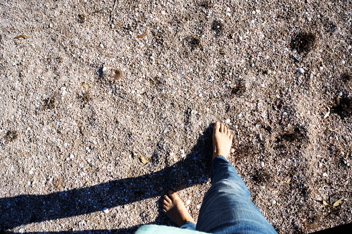 Snails are apparently an infestation around here. What I thought was a ground covered with seashells from way back when, is a ground covered in snails, from the here and now