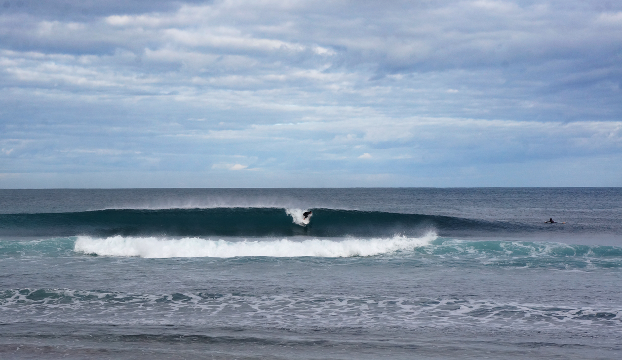 Surfer 2