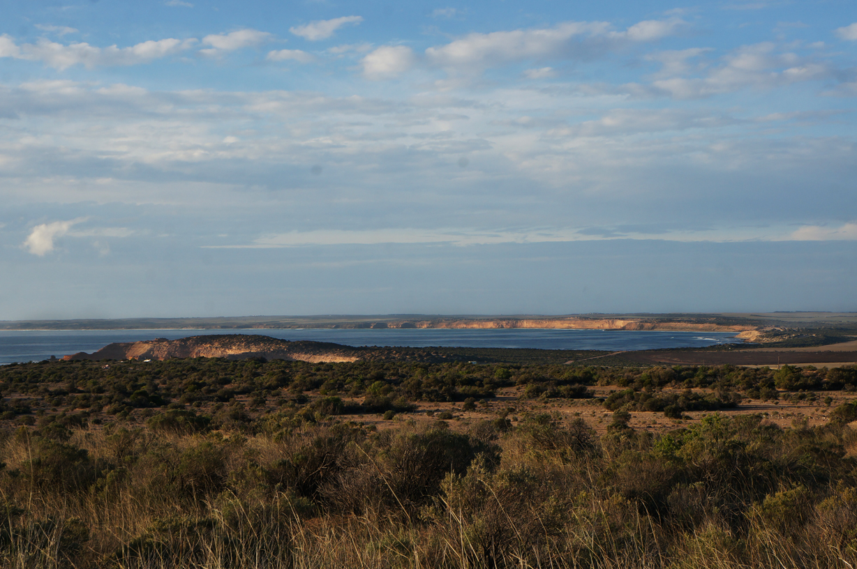 Streaky Bay, as seen from the homestead