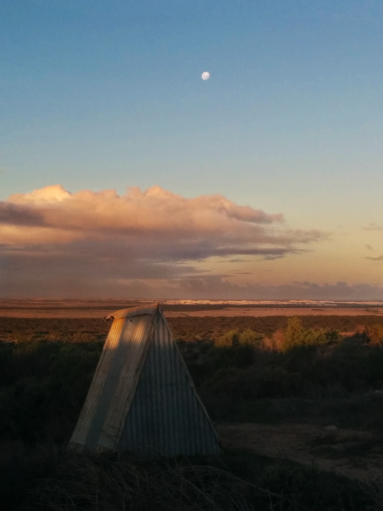 The toilet, and the view from the toilet