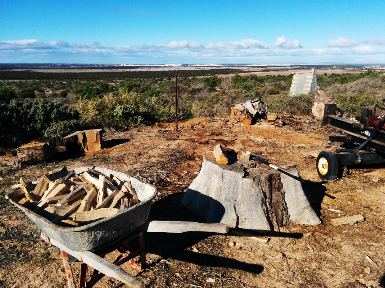 Woodpile... I chopped that with an axe