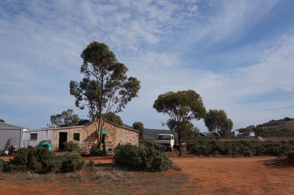 (one of) the house(s)
